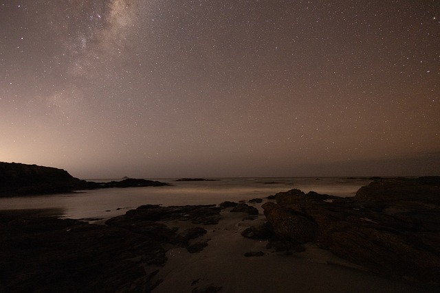 Free Night Beach photo and picture