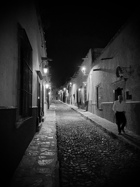 Free Street Night Scene photo and picture