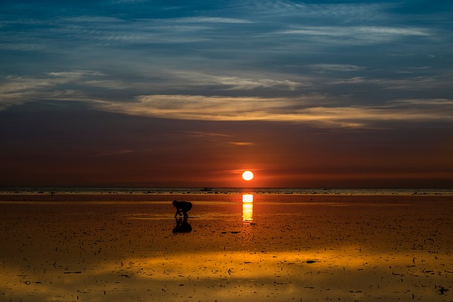 Zonsondergang, Strand, Reflectie, Zee