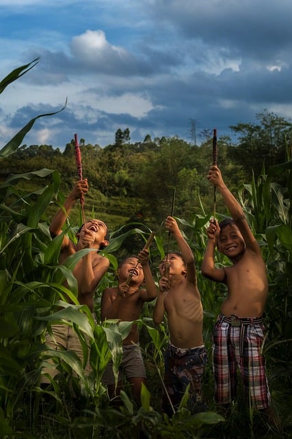 Free Children Cornfield photo and picture
