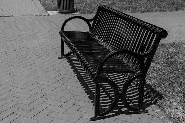 Free Bench Park photo and picture
