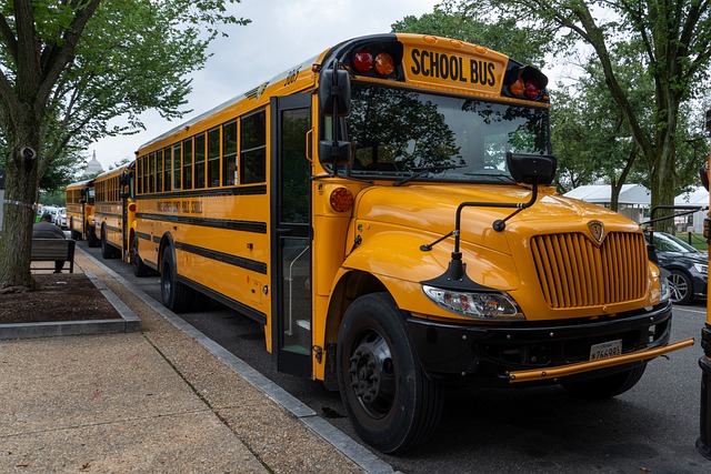 Free School Bus Yellow photo and picture