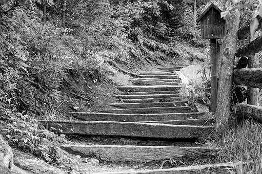 Free Stairs Staircase photo and picture