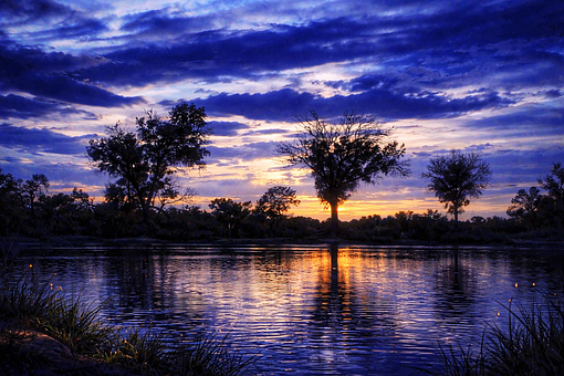Free Water Pond illustration and picture