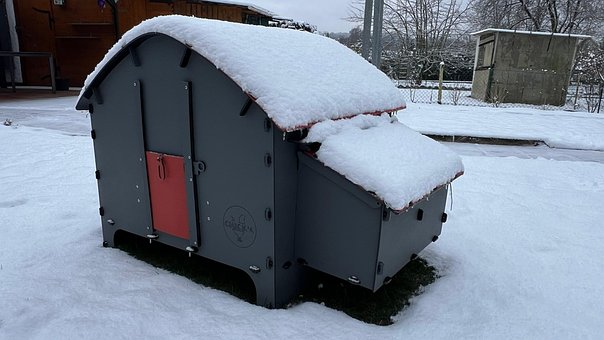 Free Snow Winter photo and picture