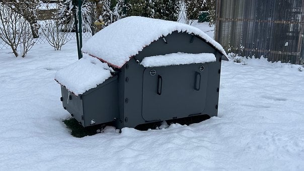 Free Snow Winter photo and picture