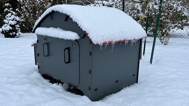 Free Snow Coop photo and picture