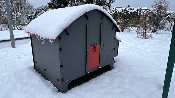 Free Snow Chicken Coop photo and picture