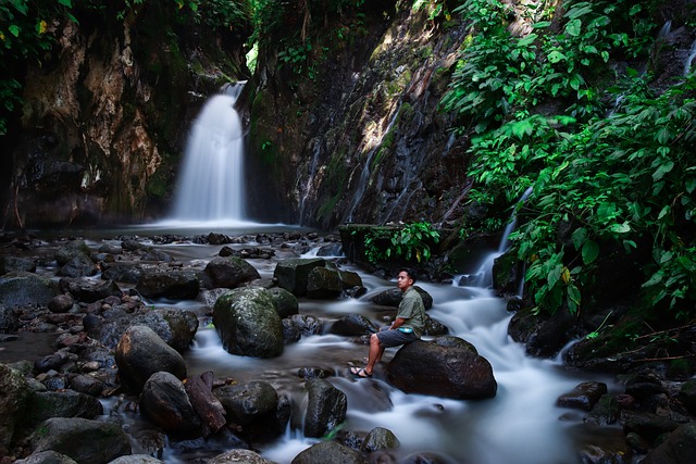 Cascada, Jungla, Naturaleza, Río