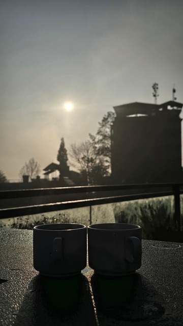 Free Morning Sun photo and picture