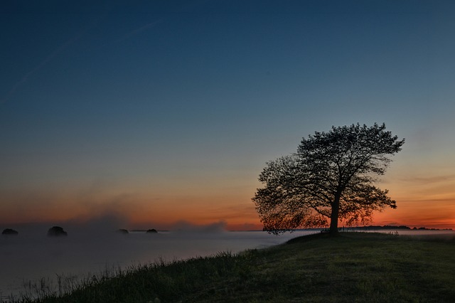 Free Sunrise Nature photo and picture