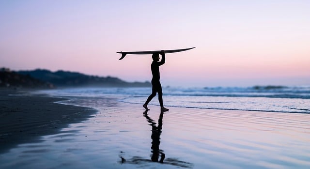 Surfere, Surfbræt, Solopgang, Silhuet