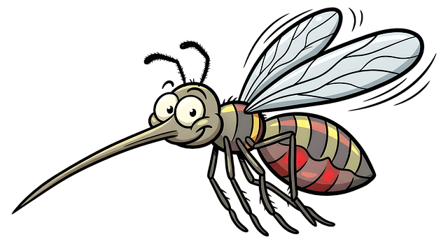 Free mosquito cartoon mosquito insect illustration