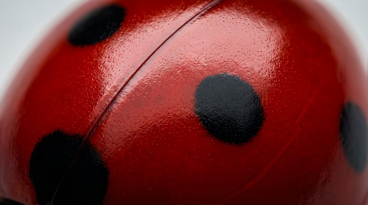 Ladybug - free online jigsaw puzzle photo