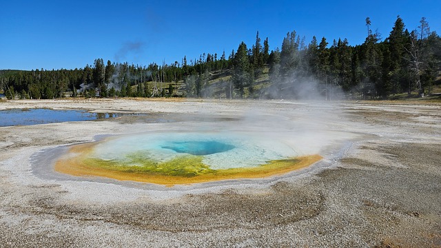 Free Geyser Yellowstone photo and picture