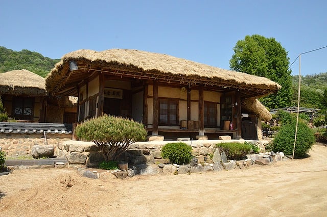 Free Traditional House Thatch Roof photo and picture