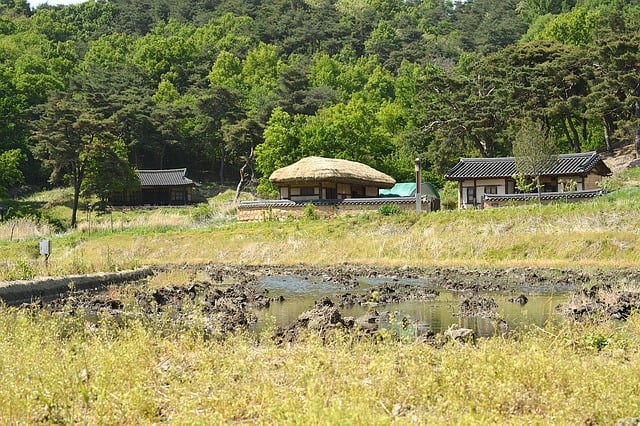 Free Traditional Korean Architecture photo and picture
