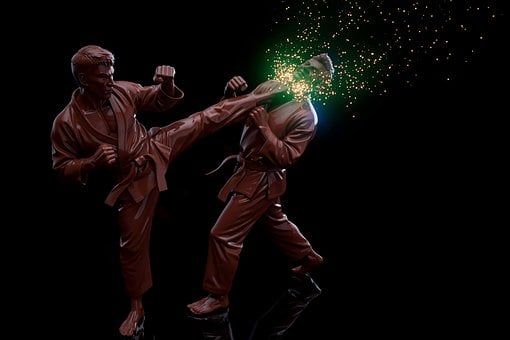 Free Karate Martial Arts photo and picture
