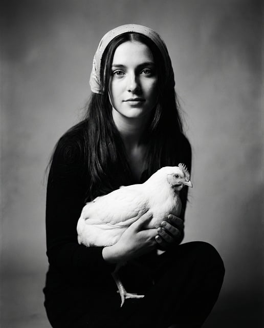 Free woman girl chicken illustration