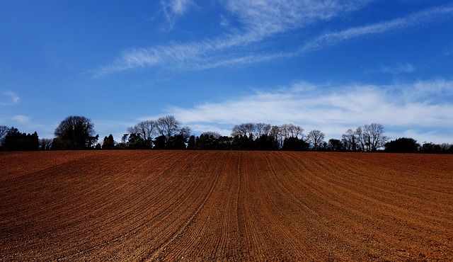 Free Landscape Nature photo and picture