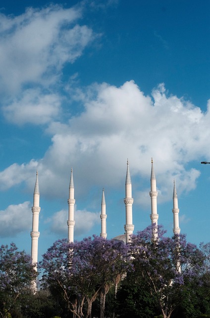 Free Minaret Church photo and picture
