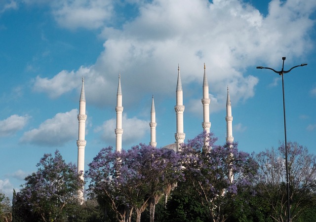 Free Mosque Minaret photo and picture