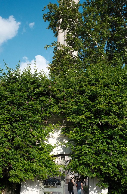 Free Nature Tower photo and picture