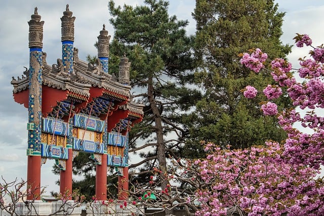 China, Tradicional, Arquitectura, Portón
