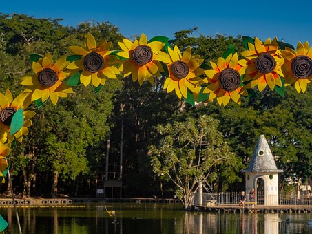 Free Sunflower Lake photo and picture