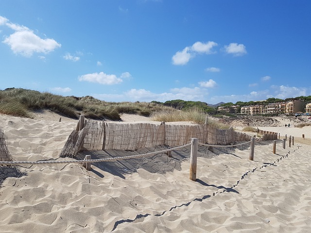 Free Beach Sand photo and picture