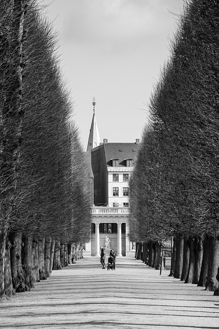 Træer, Sti, Statue, København