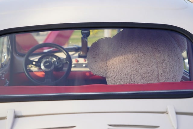 Free Car Teddy Bear photo and picture