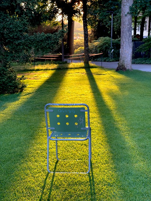Stuhl, Schatten, Garten, Gras, Natur