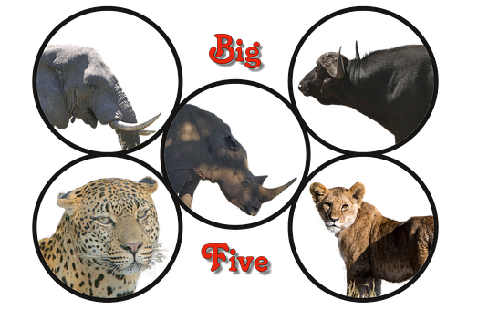 Free Logo Africa photo and picture
