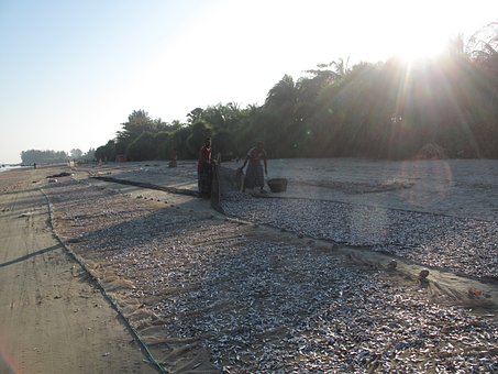 Free Beach Fishermen photo and picture