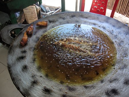Free Fish Oil photo and picture