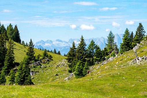Bergen, Landschap, Bomen, Bossen, Weiden