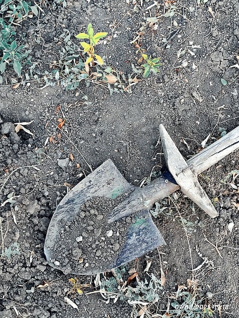 Free Shovel Soil photo and picture