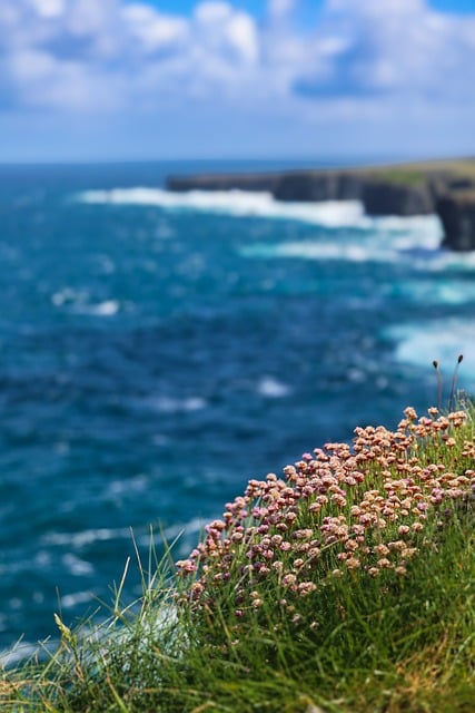 Free Cliffs Sea photo and picture