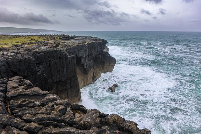 Free Cliffs Ocean photo and picture