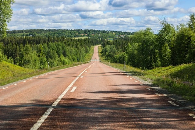 Free Road Forest photo and picture
