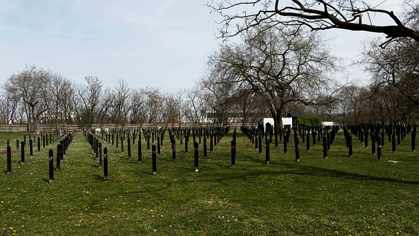 Friedhof, Frühling, Bäume, Denkmal