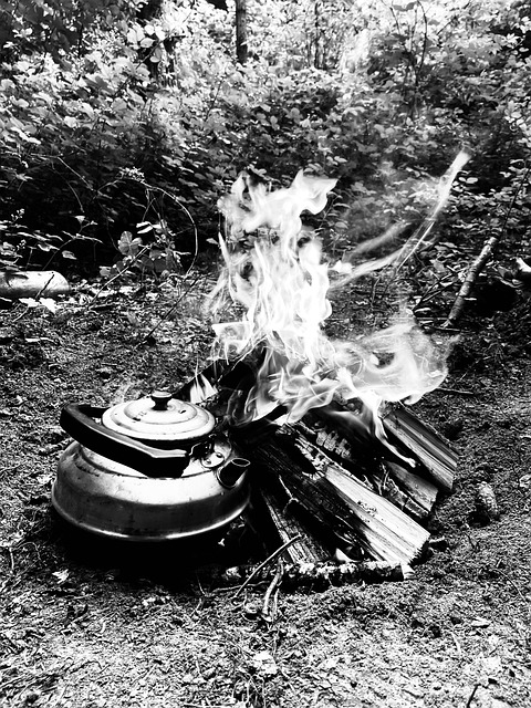 Feuer, Wald, Natur, Tee, Trinken