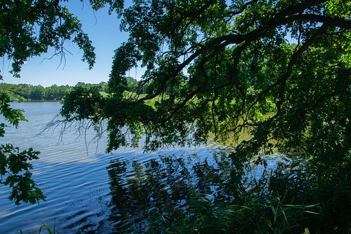 Free Pond Nature photo and picture