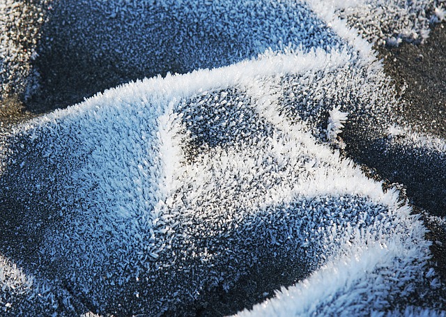 Free Ice Crystals Frost photo and picture