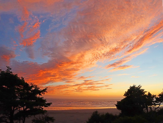 Free Coast Sunset photo and picture