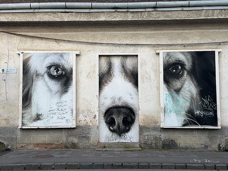 Câine, Artă Urbană, Frescă, Graffiti