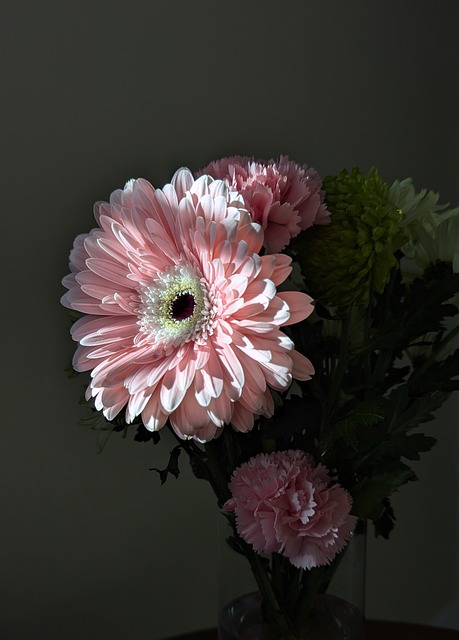 Pink Blomst, Gerbera, Buket, Nellike