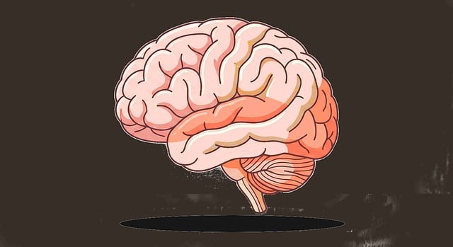 Free Brain Illustration illustration and picture