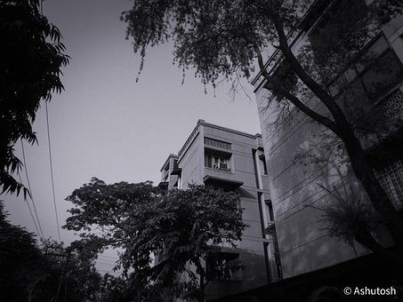 Free Architecture photo and picture